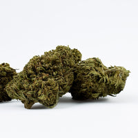 Gros plan sur Gorilla Glue Hybride USA