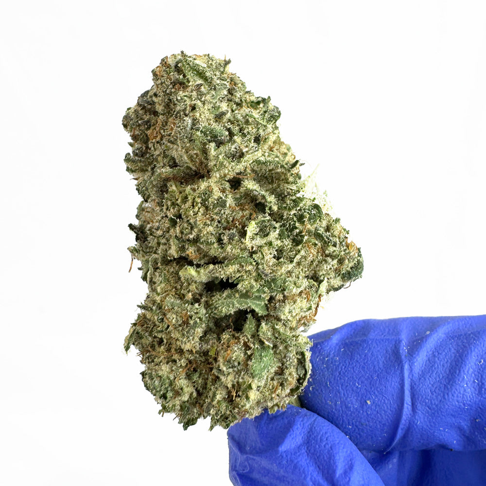 Fleur de CBD Indoor Payton Strawberry - Elite