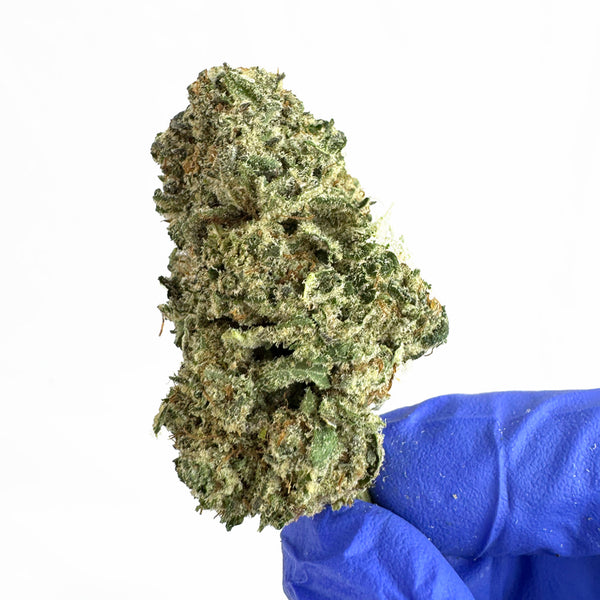 Fleur de CBD Indoor Payton Strawberry - Elite