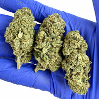 Payton Strawberry - Elite CBD de qualité