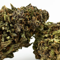 Purple Haze, fleur de CBD de la sélection cb'dé