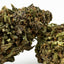 Purple Haze, fleur de CBD de la sélection cb'dé