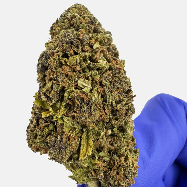 Fleur de CBD Outdoor Purple Haze