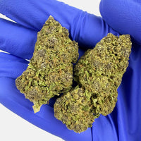 Photo de Purple Haze Outdoor