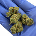 Plutonium - Medium Buds Indoor