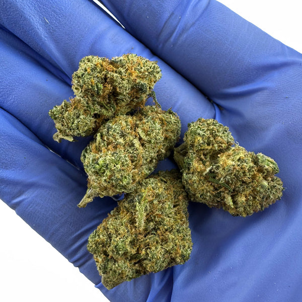 Fleur de CBD Indoor Plutonium