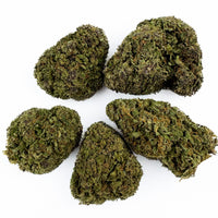 €canna | Purple Snowman — couleur intense