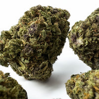 Photo détaillée de €canna | Purple Snowman