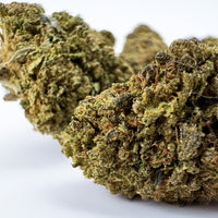 Lemon Cherry Cookies CBD Hybride USA chez cb'dé