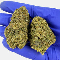 Lemon Cherry Cookies Hybride USA en gros plan