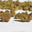 Photo de fleurs CBD Strawberry Glasshouse Medium Buds cultivées en Italie