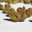 Strawberry CBD Medium Buds aspect compact et pistils orangés