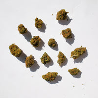 Buds Strawberry CBD greenhouse medium fleurs premium italiennes