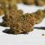 Image macro de têtes CBD Strawberry Glasshouse manucurées Italie