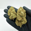 Photo Sweet Cheese CBD arômes boisés puissants