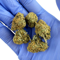 Fleur de CBD Sour Diesel — fleur dense
