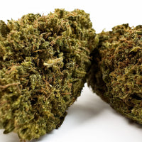 10g‍ - Lifter - OFFERT CBD Hybride USA