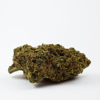 Fleur de CBD 10g‍ - Lifter - OFFERT — couleur intense