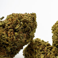 10g‍ - Lifter - OFFERT — fleur de CBD de la sélection cb'dé