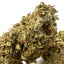 Tangerine Dream - OUTDOOR