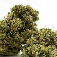Fleur de CBD Cookies & Cream — couleur intense