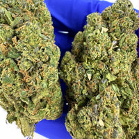 Cookies & Cream, fleur de CBD haut de gamme