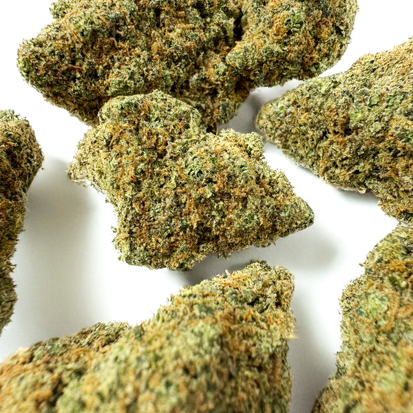 Super Skunk CBD, trichomes visibles