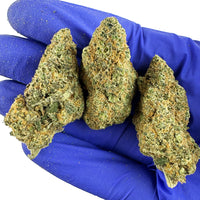 Gros plan sur Super Skunk CBD