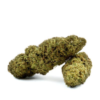 Fleur de CBD Surprise du Chef en gros plan