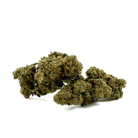 Fleur de CBD Lemon OG — couleur intense