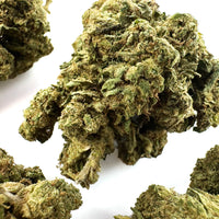 Lemon OG, fleur de CBD à découvrir