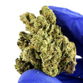 Lemon OG - GREENHOUSE