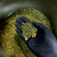 Zoom sur la Trim CBD