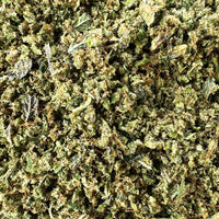 Fleur de CBD Trim - Mix de miettes de pas cher — trichomes visibles