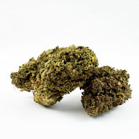 Vue rapprochée de White Widow