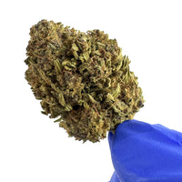 Fleur de CBD White Widow