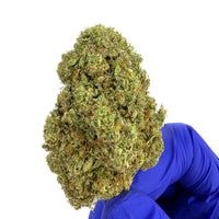 Zoap Indoor en gros plan