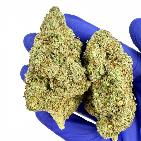 Giga Pack - Gamme Donuts - 19,5g: 13 x 1,5g CBD, trichomes visibles